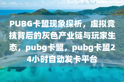 PUBG卡盟现象探析，虚拟竞技背后的灰色产业链与玩家生态，pubg卡盟，pubg卡盟24小时自动发卡平台