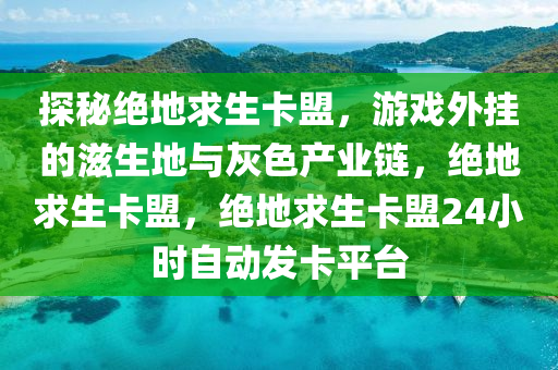 探秘绝地求生卡盟，游戏外挂的滋生地与灰色产业链，绝地求生卡盟，绝地求生卡盟24小时自动发卡平台