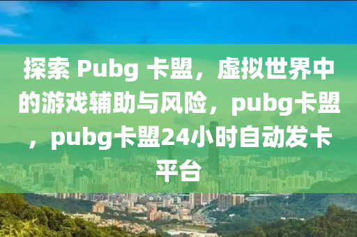 探索 Pubg 卡盟，虚拟世界中的游戏辅助与风险，pubg卡盟，pubg卡盟24小时自动发卡平台