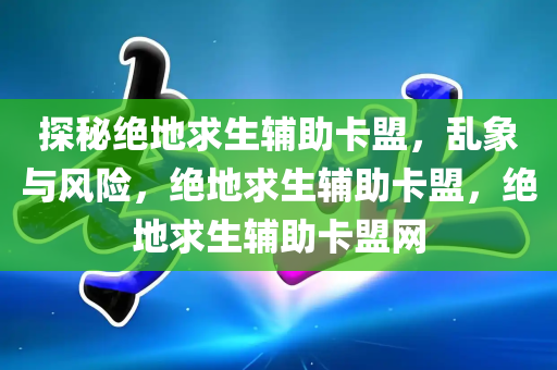 探秘绝地求生辅助卡盟，乱象与风险，绝地求生辅助卡盟，绝地求生辅助卡盟网