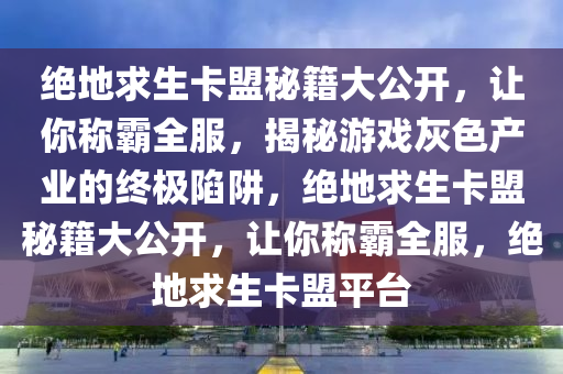 绝地求生卡盟秘籍大公开，让你称霸全服，揭秘游戏灰色产业的终极陷阱，绝地求生卡盟秘籍大公开，让你称霸全服，绝地求生卡盟平台