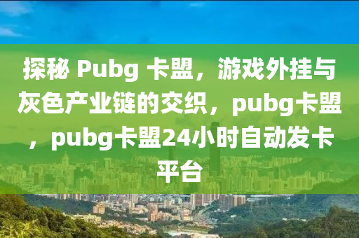 探秘 Pubg 卡盟，游戏外挂与灰色产业链的交织，pubg卡盟，pubg卡盟24小时自动发卡平台