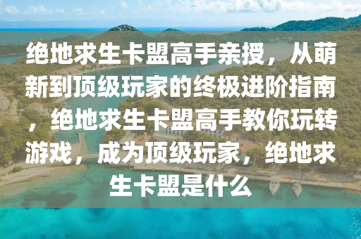 绝地求生卡盟高手亲授，从萌新到顶级玩家的终极进阶指南，绝地求生卡盟高手教你玩转游戏，成为顶级玩家，绝地求生卡盟是什么