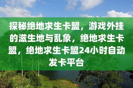 探秘绝地求生卡盟，游戏外挂的滋生地与乱象，绝地求生卡盟，绝地求生卡盟24小时自动发卡平台