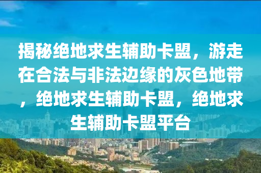 揭秘绝地求生辅助卡盟，游走在合法与非法边缘的灰色地带，绝地求生辅助卡盟，绝地求生辅助卡盟平台