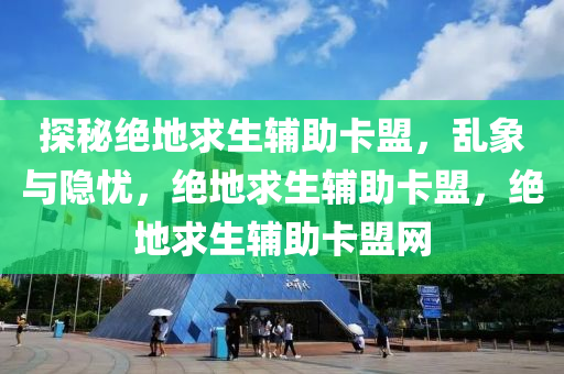 探秘绝地求生辅助卡盟，乱象与隐忧，绝地求生辅助卡盟，绝地求生辅助卡盟网