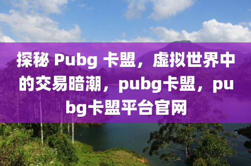 探秘 Pubg 卡盟，虚拟世界中的交易暗潮，pubg卡盟，pubg卡盟平台官网