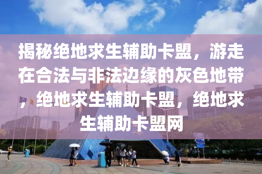 揭秘绝地求生辅助卡盟，游走在合法与非法边缘的灰色地带，绝地求生辅助卡盟，绝地求生辅助卡盟网