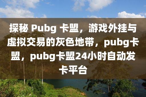 探秘 Pubg 卡盟，游戏外挂与虚拟交易的灰色地带，pubg卡盟，pubg卡盟24小时自动发卡平台