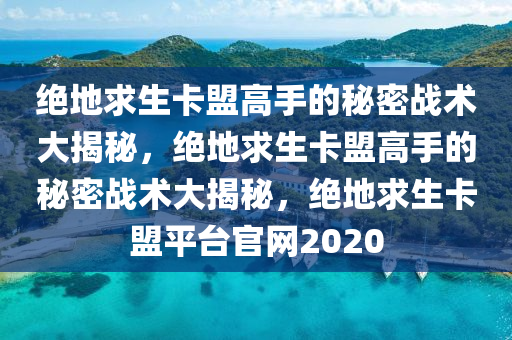 绝地求生卡盟高手的秘密战术大揭秘，绝地求生卡盟高手的秘密战术大揭秘，绝地求生卡盟平台官网2020