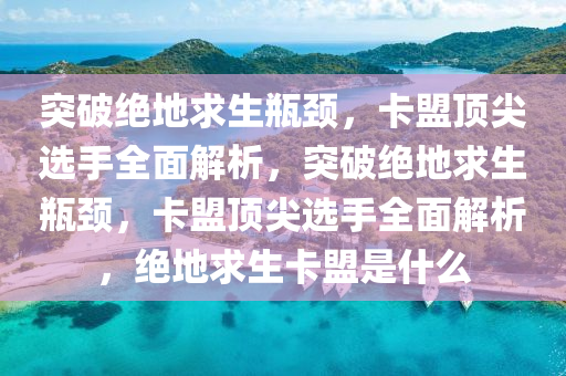 突破绝地求生瓶颈，卡盟顶尖选手全面解析，突破绝地求生瓶颈，卡盟顶尖选手全面解析，绝地求生卡盟是什么