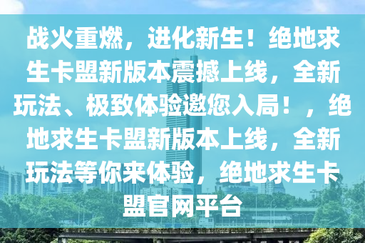 战火重燃，进化新生！绝地求生卡盟新版本震撼上线，全新玩法、极致体验邀您入局！，绝地求生卡盟新版本上线，全新玩法等你来体验，绝地求生卡盟官网平台