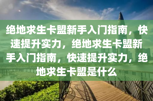 绝地求生卡盟新手入门指南，快速提升实力，绝地求生卡盟新手入门指南，快速提升实力，绝地求生卡盟是什么