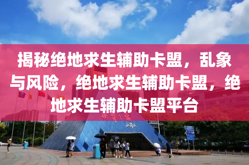 揭秘绝地求生辅助卡盟，乱象与风险，绝地求生辅助卡盟，绝地求生辅助卡盟平台