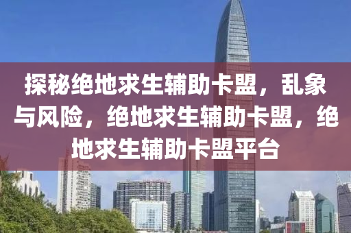 探秘绝地求生辅助卡盟，乱象与风险，绝地求生辅助卡盟，绝地求生辅助卡盟平台