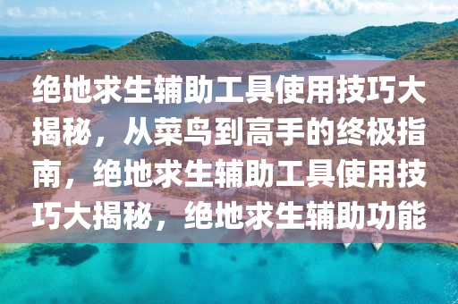 绝地求生辅助工具使用技巧大揭秘，从菜鸟到高手的终极指南，绝地求生辅助工具使用技巧大揭秘，绝地求生辅助功能