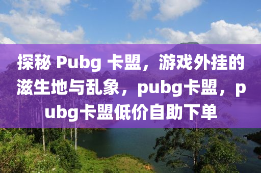 探秘 Pubg 卡盟，游戏外挂的滋生地与乱象，pubg卡盟，pubg卡盟低价自助下单