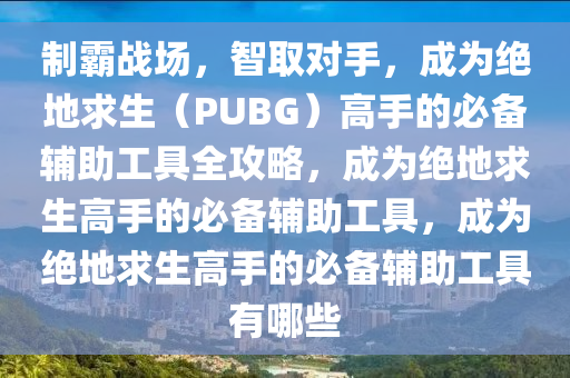 制霸战场，智取对手，成为绝地求生（PUBG）高手的必备辅助工具全攻略，成为绝地求生高手的必备辅助工具，成为绝地求生高手的必备辅助工具有哪些