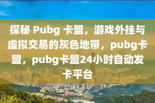 探秘 Pubg 卡盟，游戏外挂与虚拟交易的灰色地带，pubg卡盟，pubg卡盟24小时自动发卡平台