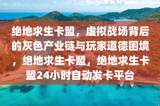 绝地求生卡盟，虚拟战场背后的灰色产业链与玩家道德困境，绝地求生卡盟，绝地求生卡盟24小时自动发卡平台