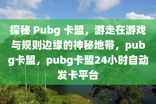 探秘 Pubg 卡盟，游走在游戏与规则边缘的神秘地带，pubg卡盟，pubg卡盟24小时自动发卡平台