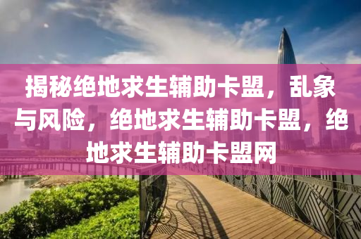 揭秘绝地求生辅助卡盟，乱象与风险，绝地求生辅助卡盟，绝地求生辅助卡盟网