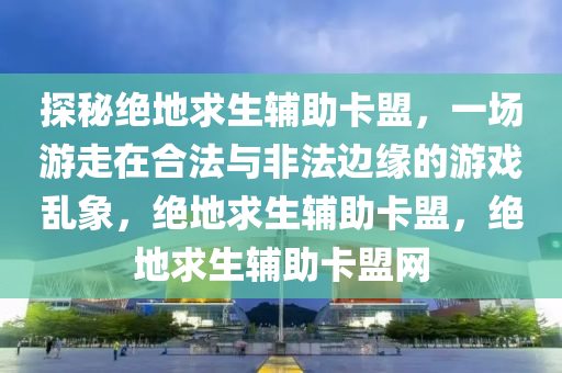 探秘绝地求生辅助卡盟，一场游走在合法与非法边缘的游戏乱象，绝地求生辅助卡盟，绝地求生辅助卡盟网