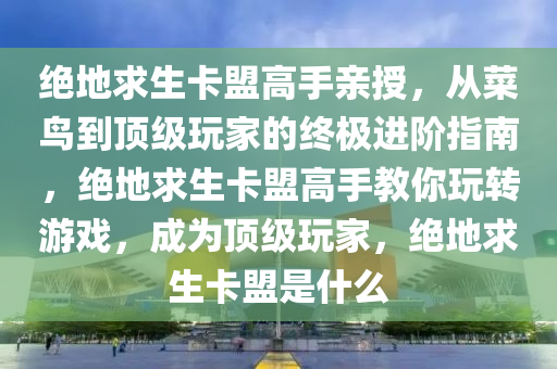 绝地求生卡盟高手亲授，从菜鸟到顶级玩家的终极进阶指南，绝地求生卡盟高手教你玩转游戏，成为顶级玩家，绝地求生卡盟是什么