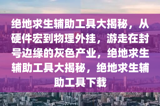 绝地求生辅助工具大揭秘，从硬件宏到物理外挂，游走在封号边缘的灰色产业，绝地求生辅助工具大揭秘，绝地求生辅助工具下载