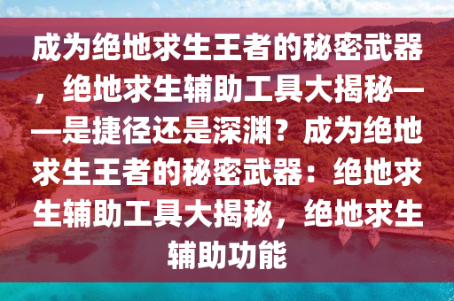 成为绝地求生王者的秘密武器，绝地求生辅助工具大揭秘——是捷径还是深渊？成为绝地求生王者的秘密武器：绝地求生辅助工具大揭秘，绝地求生辅助功能