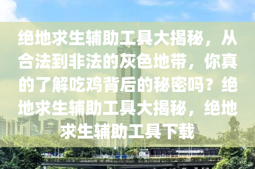 绝地求生辅助工具大揭秘，从合法到非法的灰色地带，你真的了解吃鸡背后的秘密吗？绝地求生辅助工具大揭秘，绝地求生辅助工具下载