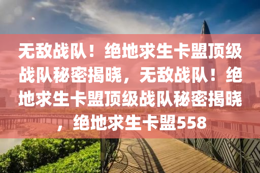无敌战队！绝地求生卡盟顶级战队秘密揭晓，无敌战队！绝地求生卡盟顶级战队秘密揭晓，绝地求生卡盟558