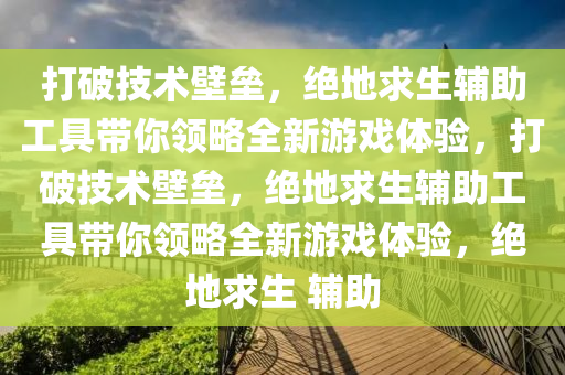 打破技术壁垒，绝地求生辅助工具带你领略全新游戏体验，打破技术壁垒，绝地求生辅助工具带你领略全新游戏体验，绝地求生 辅助