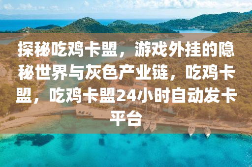探秘吃鸡卡盟，游戏外挂的隐秘世界与灰色产业链，吃鸡卡盟，吃鸡卡盟24小时自动发卡平台