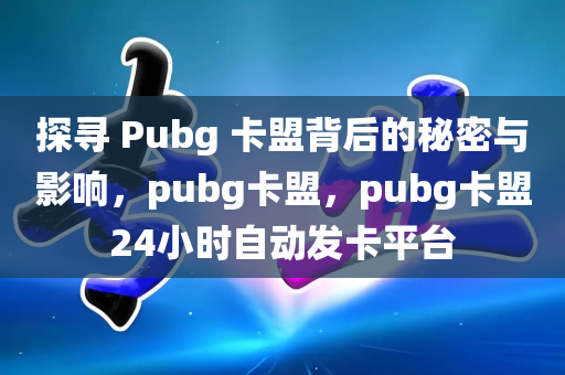 探寻 Pubg 卡盟背后的秘密与影响，pubg卡盟，pubg卡盟24小时自动发卡平台