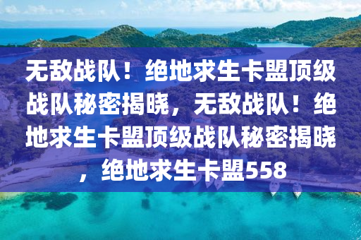 无敌战队！绝地求生卡盟顶级战队秘密揭晓，无敌战队！绝地求生卡盟顶级战队秘密揭晓，绝地求生卡盟558