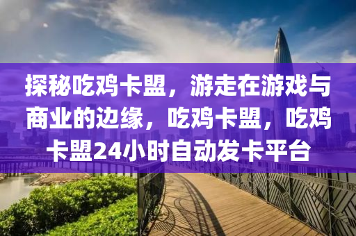 探秘吃鸡卡盟，游走在游戏与商业的边缘，吃鸡卡盟，吃鸡卡盟24小时自动发卡平台