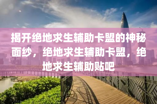 揭开绝地求生辅助卡盟的神秘面纱，绝地求生辅助卡盟，绝地求生辅助贴吧