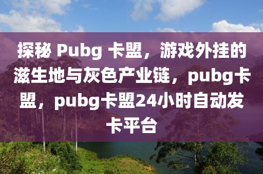 探秘 Pubg 卡盟，游戏外挂的滋生地与灰色产业链，pubg卡盟，pubg卡盟24小时自动发卡平台